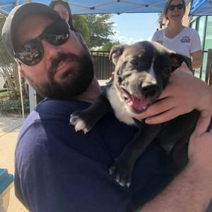 Meet your Posher, Alex